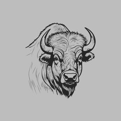Vector illustration showing detailed buffalo line art. © Mulyadi Lim