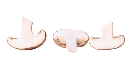 Front view set of shiitake mushroom halves isolated with clipping path in png file format