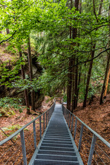 Stairs to Falkenstejn castle ruin in the Czech Switzerland National Park, Czech Republic