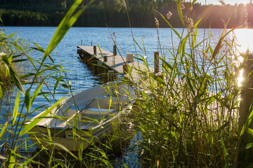 Rowing boat is moored at a wooden jetty in a green area in a Swedish lake in the evening sun