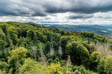 Landscape of the Czech Switzerland National Park, Czech Republic