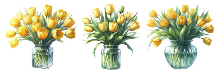 Watercolor illustration material set of yellow tulips in a glass vase - obrazy, fototapety, plakaty