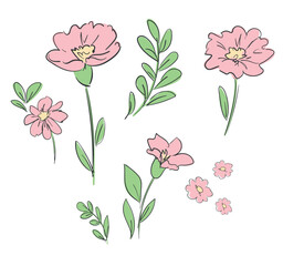 Hand Drawn flowers Decorative elements for design Vector illustration