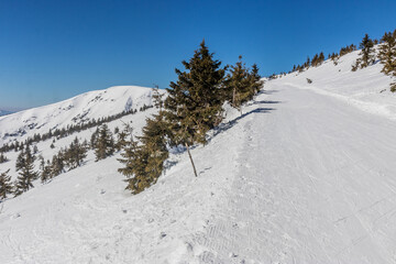 KRKONOSE, CZECH REPUBLIC - MARCH 13, 2022: Ski track in Krkonose (Giant) mountains, Czech Republic