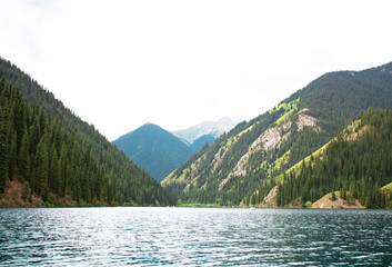 Naklejka na ściany i meble Picturesque mountain lake surrounded by dense green pine forest