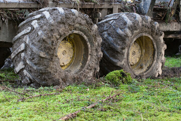 Fototapeta na wymiar Deeply sunken tires reveal the impact of heavy forestry machinery on forest soil. Soil disturbance due to compaction is undeniable.