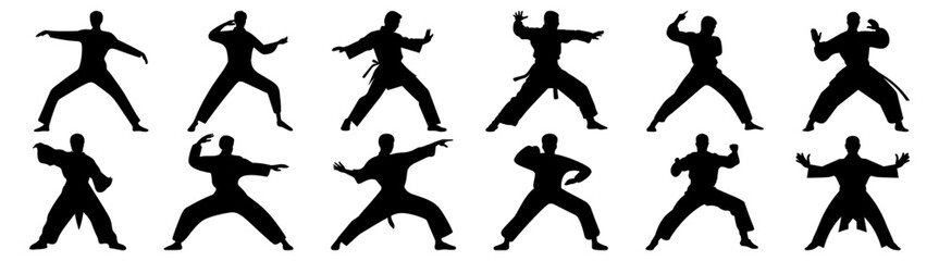 Fighter karate kung fu silhouette set vector design big pack of illustration and icon © Catnip