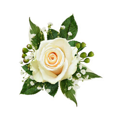 Floral arrangement with white rose, green berries and gypsophila flowers isolated on white or transparent background