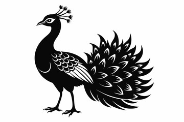 give-the-black-silhouette-vector-of-peacock.