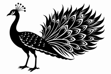 give-the-black-silhouette-vector-of-peacock.
