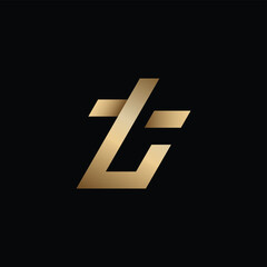 Lowercase T in Luxury Logo