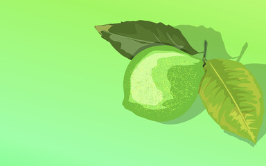 green fruit and leaves with a bright green gradient background