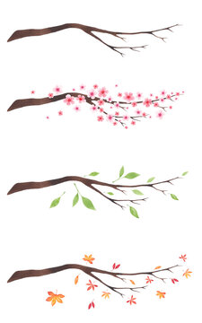 A set of tree branches of different seasons, watercolor illustration, hand-drawn. An element for design, decoration. A bare branch, with green leaves, spring blooming, with autumn falling leaves.
