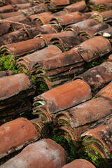 Close up of terracotta roof tiles, Panama - stock photo