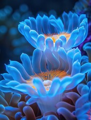 Two companions in the ocean nestled in a stunning blue anemone macro beauty , minimalist