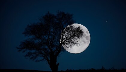 Fototapeta na wymiar tree against a moon night sky