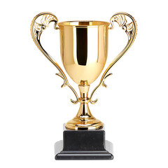 Trophy the symbols of success and pride