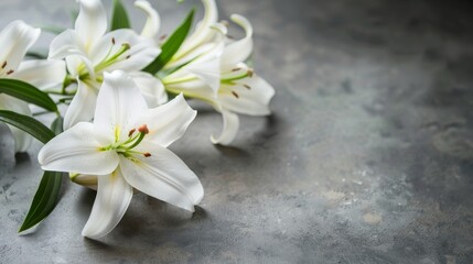White flowers on concrete floor