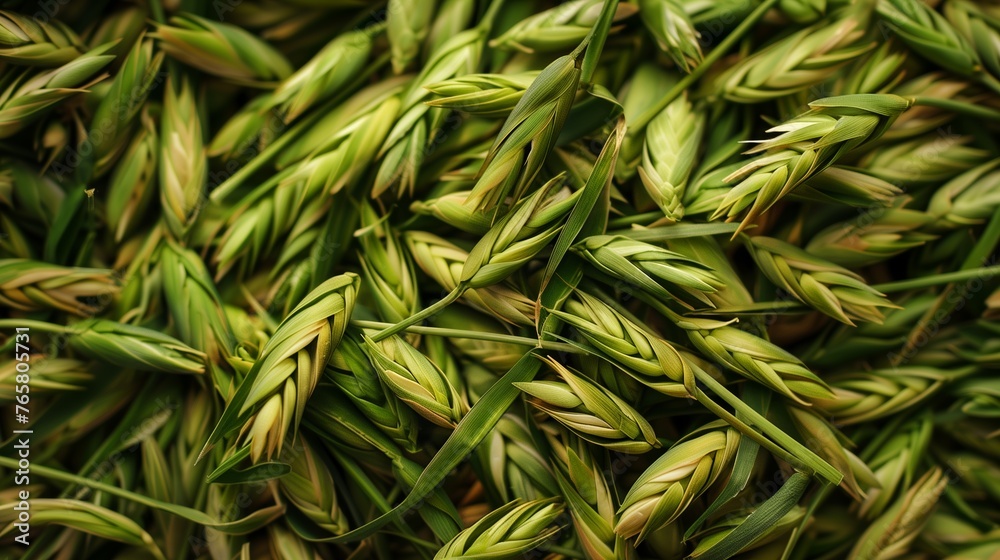 Wall mural a pile of highland barley seedlings. generated by artificial intelligence.