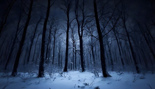 Winter night in dark forest.