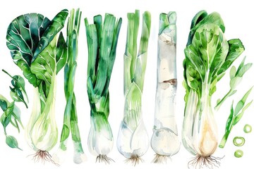 A serene watercolor assortment of bok choy, scallions, and bamboo shoots on white - obrazy, fototapety, plakaty