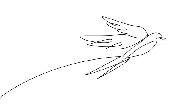 Swallow in one continuous line drawing. Swallow, Bird in outline style. Freedom one line concept. Vector illustration