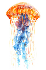 Vibrant watercolor jellyfish on white, electric blue accents, liquidlike shapes