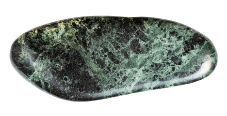 close up of sample of natural stone from geological collection - polished serpentinized peridotitic komatiite mineral isolated on white background from Karelia