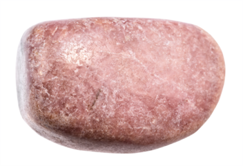 close up of sample of natural stone from geological collection - polished rhodonite mineral isolated on white background from Urals