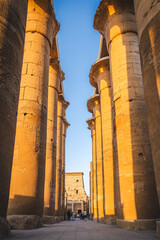 Luxor, Egypt - October 27, 2022. Impressive columns with hieroglyphs seen on the Luxor Temple. - 765816741