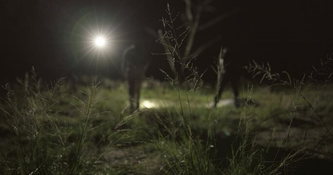 Search, flashlight and investigator at night for investigation, clues and missing person report in nature or outdoor. People or detective walking, teamwork and inspection of crime in field or a park