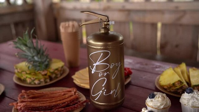 Close-up of Colored Fire Extinguisher With Paint on the table. Gender Party