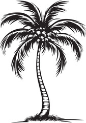 Palm Tree  Silhouettes 