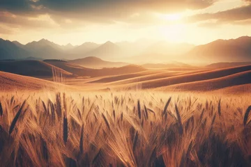  field golden wheat with sun in sky © Екатерина Переславце