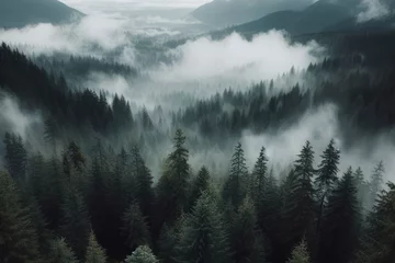 Fotobehang A dense forest with thick layer fog covering trees © Екатерина Переславце