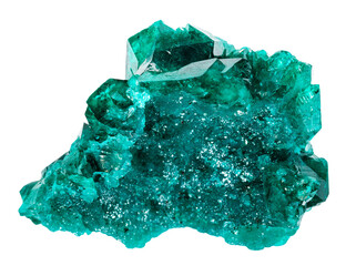 close up of sample of natural stone from geological collection - cluster of dioptase mineral...