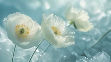 Fotobehang Arctic flowers © Анастасия Птицова