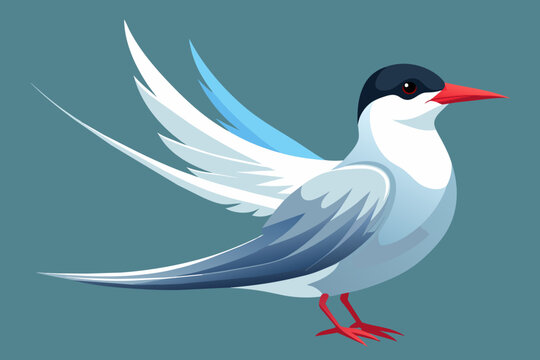 recommend clip art: arctic tern vector arts illustration