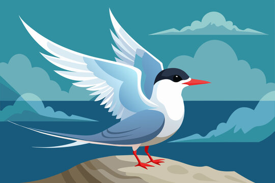 arctic tern vector arts illustration