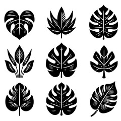 monstera leaf design icon set svg