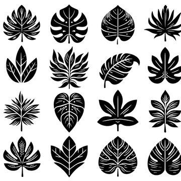 monstera leaf design icon set svg