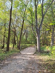 Wooden footbridge in a public park on an autumn day