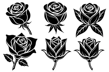 rosebud-6-set-vector-illustration