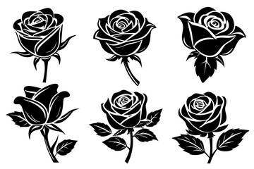 rosebud-6-set-vector-illustration