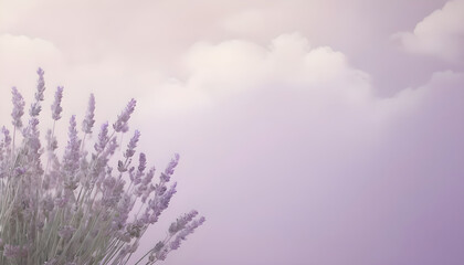 Obraz premium tranquil, pale lavender background with a subtle, diffused light from a cloudy summer day. The muted shadows create a dreamy and serene ambiance, perfect for presenting delicate and