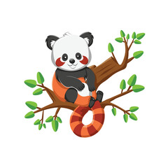 Obraz premium Red pandas on tree branches