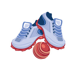 cricket shoes and ball