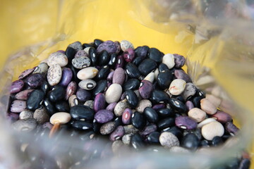 beans