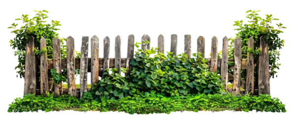 Wandaufkleber Old weathered wooden picket fence covered in foliage, cut out © Yeti Studio