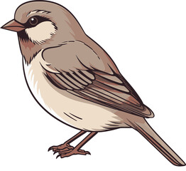 Tranquil Sparrow Vector Graphics